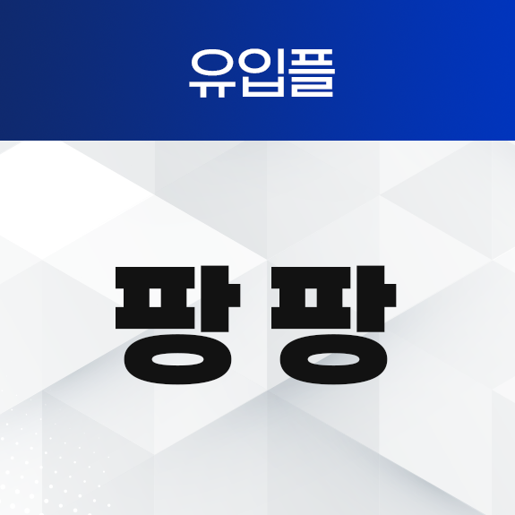 유입플 팡팡