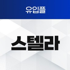스텔라_유입플