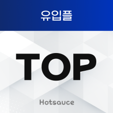 TOP 유입플
