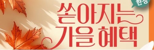 가을맞이 특별 할인 썸네일